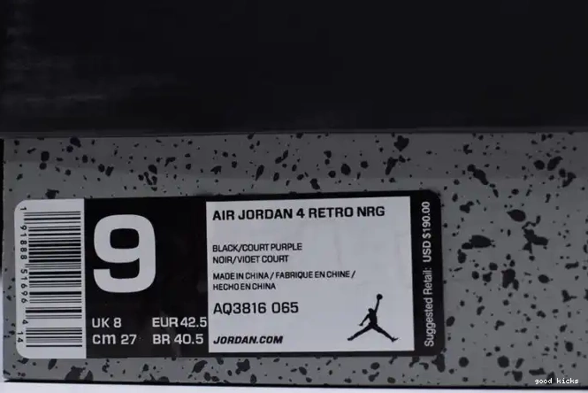 Rep AQ3816-065 4 Retro Air Raptors